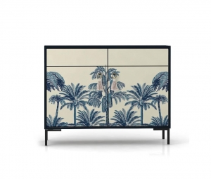DressoirMiquelTropicalReallyNiceThings