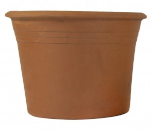 Spartaepsilonpotd385xh27-Mcollections