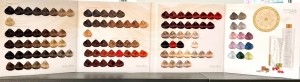 ImperitySingularityKleurenkaartPremiumoudekaart