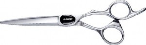E-KwipPLUSPrimusLinkshandig55inch