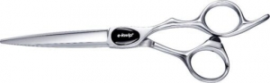 E-KwipPLUSPrimusLinkshandig55inch