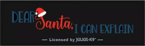 LIMITEDEDITION-DEARSANTAICANEXPLAIN