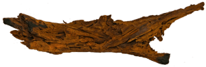 DriftwoodSaquaria-Superfish