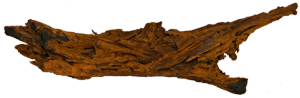 DriftwoodSaquaria-Superfish