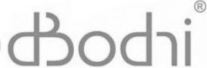 dbodhi