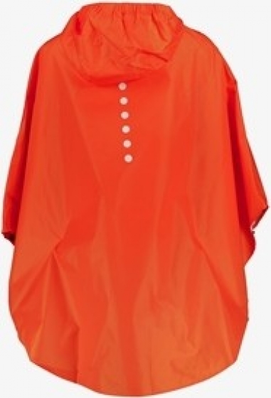 MountainPeakoranjeEKponchokinderen