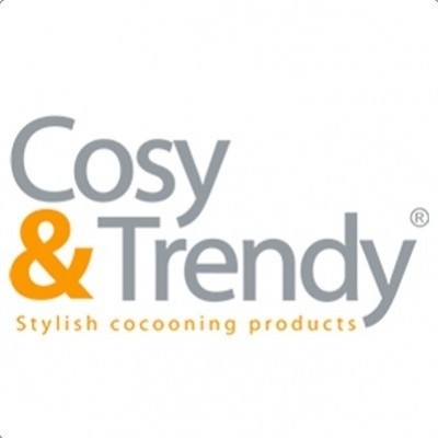 20726-cosytrendylogojpg