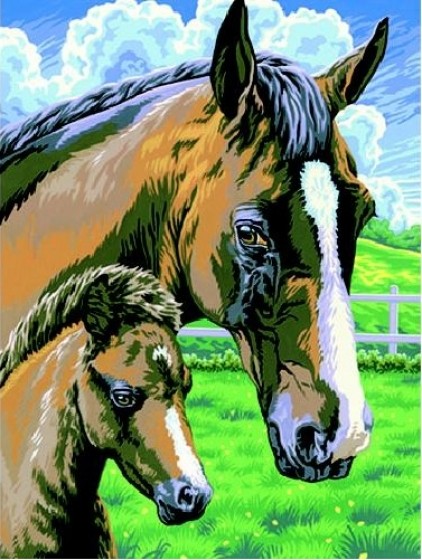 SchilderenopNummerPaard