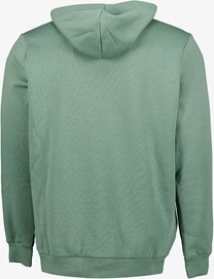 PumaEssentialsSmallLogoherenhoodiegroen