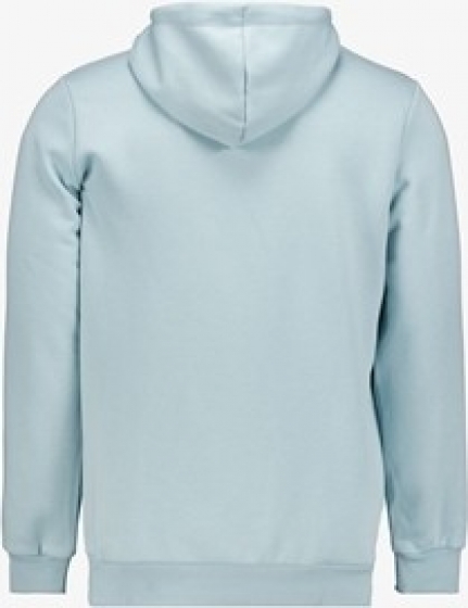PumaEssentialsBigLogoherenhoodielichtblauw