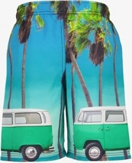 Osagajongenszwemshortmettropischeprint