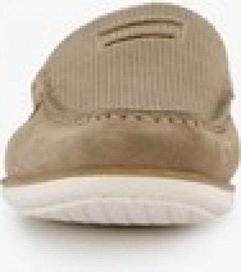 VanBeerssuedehereninstappersbeige