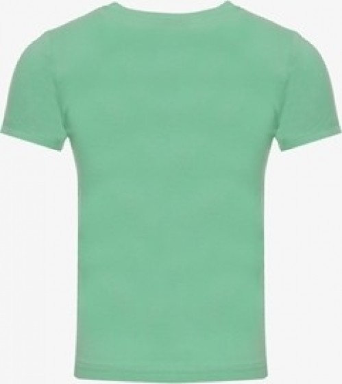 TwoDayjongensT-shirtmetleeuwgroen