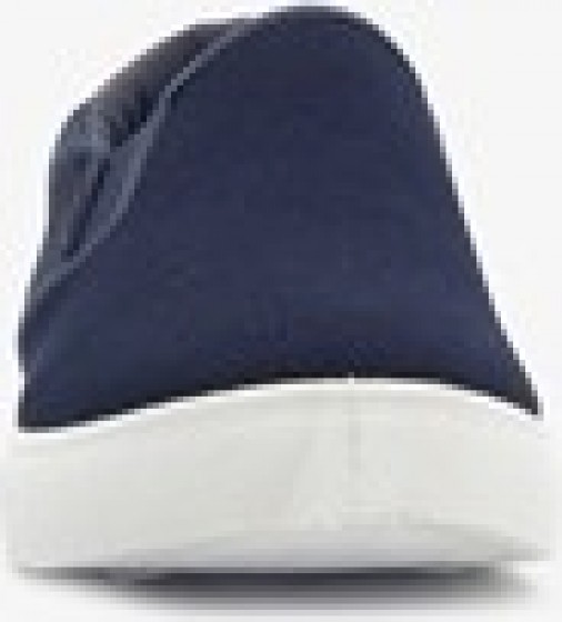 Hereninstappersblauw