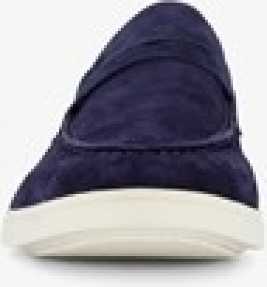 VanBeerssuedehereninstappersblauw