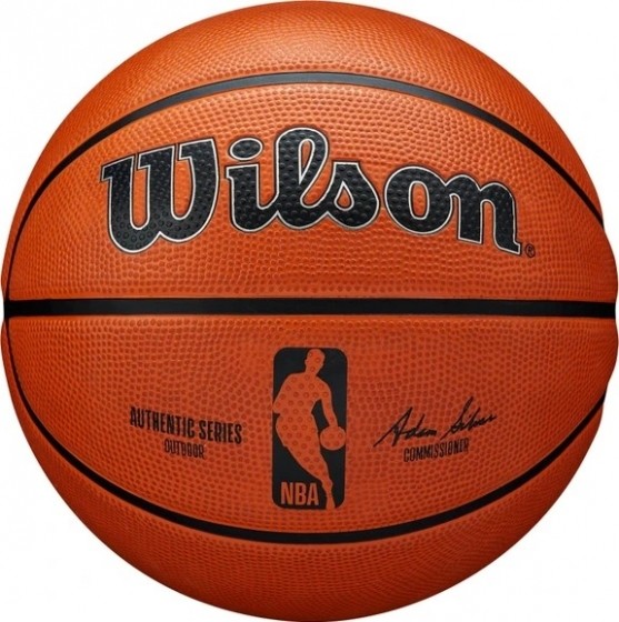WilsonBasketbalEvolutionIndoorGameBall