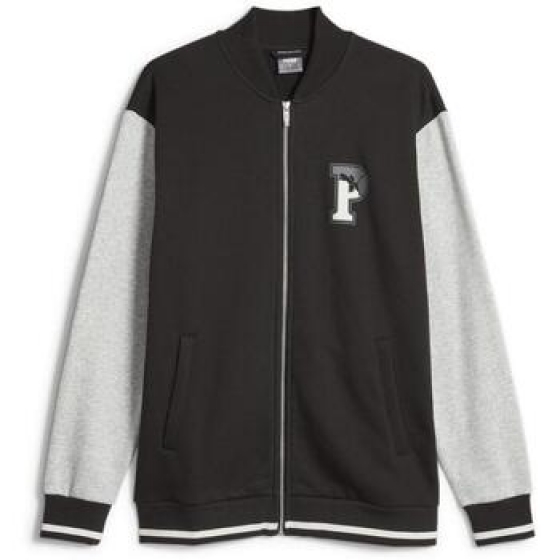 BlazerPuma-