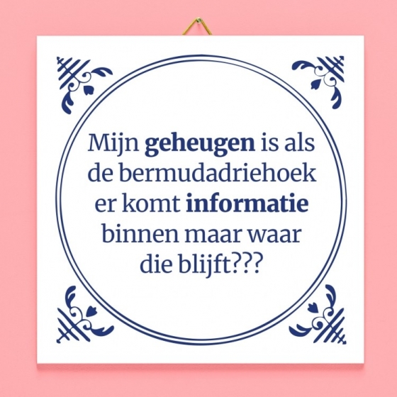 TegeltjeMijnGeheugenIsAlsDeBermudadriehoek