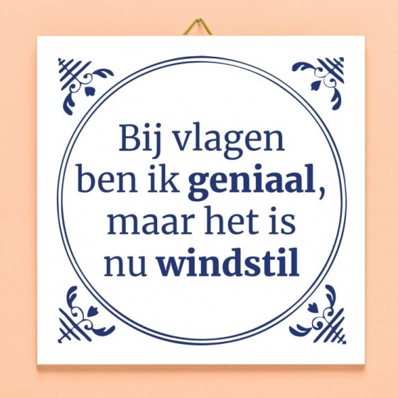 TegeltjeBijVlagenBenIkGeniaal