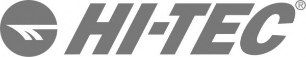 971-hi-teclogojpg