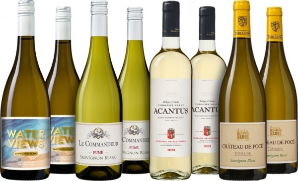 SauvignonBlancWijnpakket