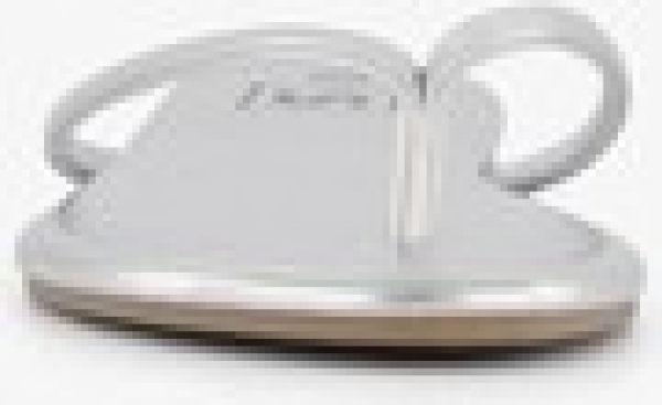 Damesteenslipperszilver