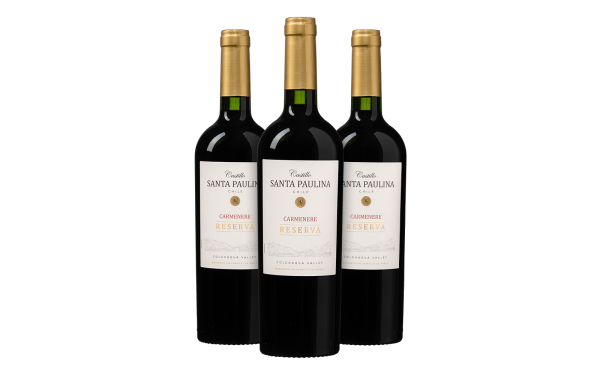 CastilloSantaPaulinaCarmenreReservaProbeerpakket3flessen