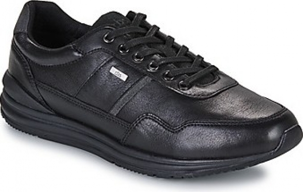 LageSneakersTBSAURELLE