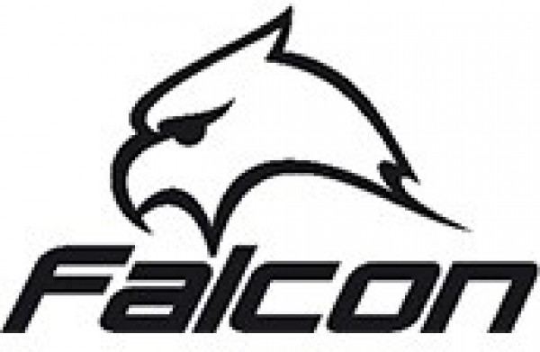 3197-falconlogojpg