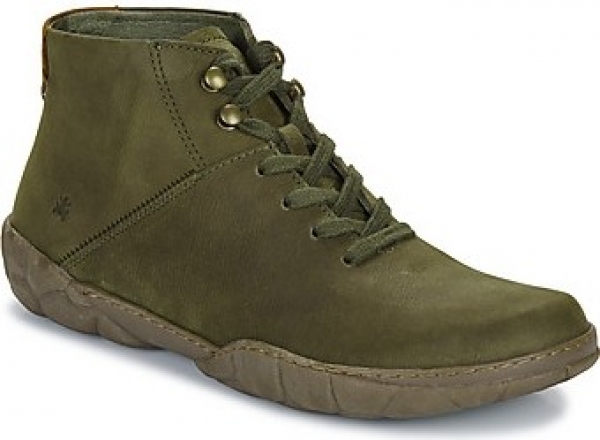 LaarzenElNaturalistaTURTLE