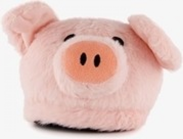 Thusdamespantoffelsbig