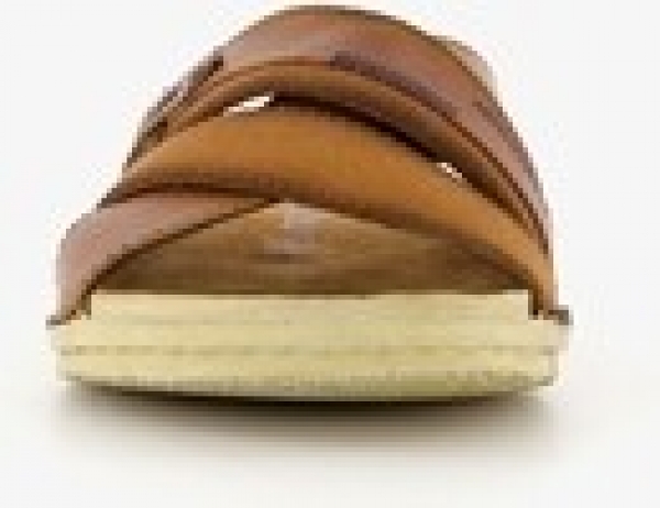 VanBeerslerenherenslippers