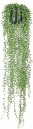 Hangplantmetpot5-Driesprongcollection