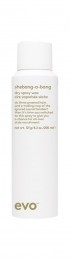 EvoShebang-A-BangDrySprayWax200ml