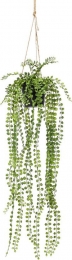 Hangplantmetpot4-Driesprongcollection