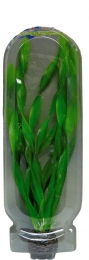 EasyPlantHoog30CmNr6aquariaSuperfish-Superfish