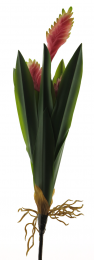 Bromeliaswordplantpink55cmkunstbloemNovaNature-Novanature