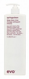EvoSpringscleanDeepCleaningRinse1000ml