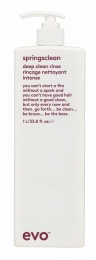 EvoSpringscleanDeepCleaningRinse1000ml